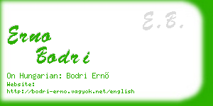 erno bodri business card