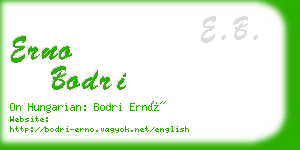 erno bodri business card